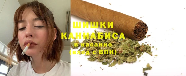 шишки Алексин