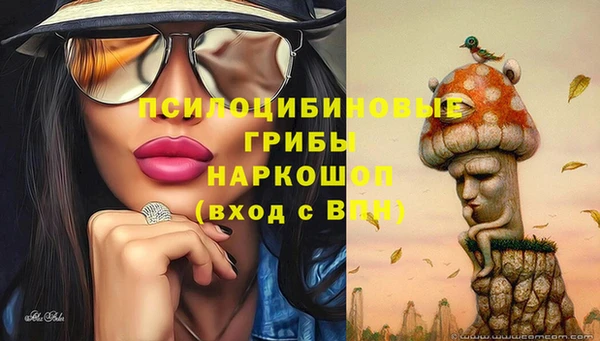 ешки Алексеевка