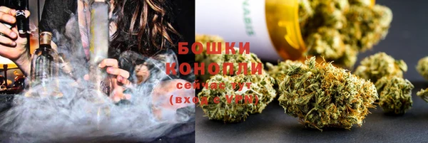 шишки Алексин