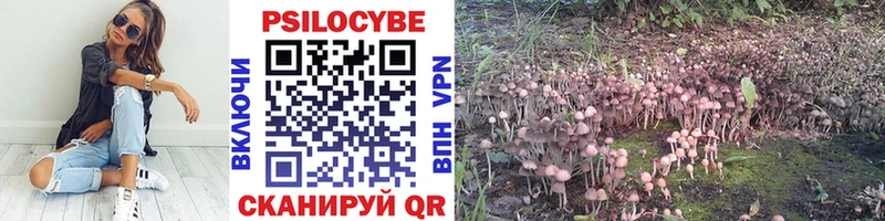 Псилоцибиновые грибы прущие грибы  Тара 